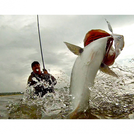 Без имени-32.jpg